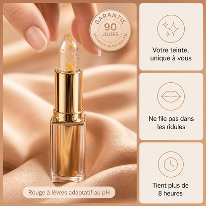 Pack Essentiel Adaptatif Signature